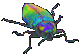 bug moment